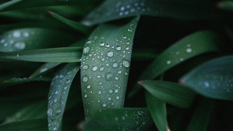 Gratitude 2022.10.27