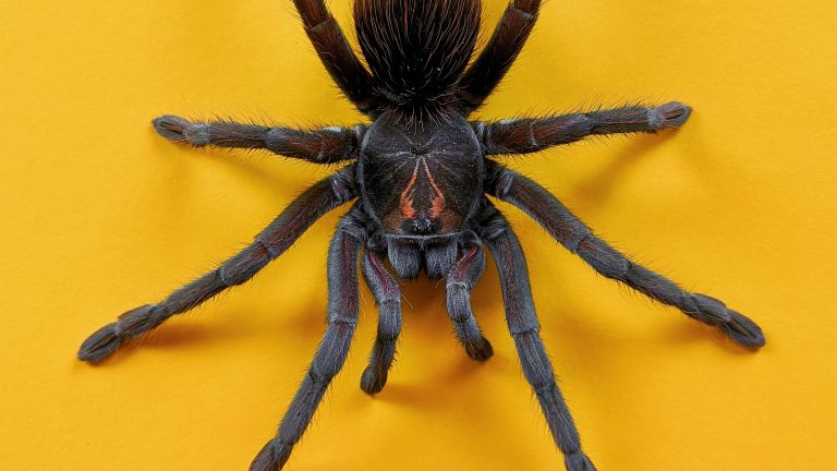 Gratitude 2022.10.22