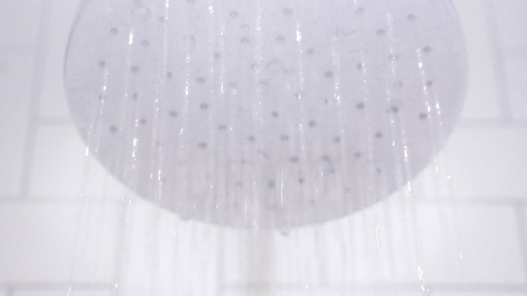 Gratitude 2022.10.28