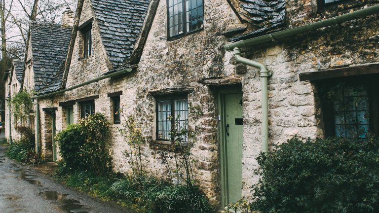 Gratitude 2022.11.10