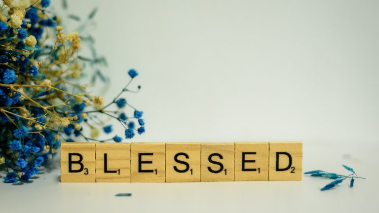 Gratitude 2022.12.01