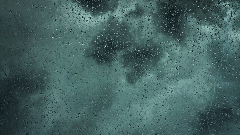 Gratitude 2022.12.06